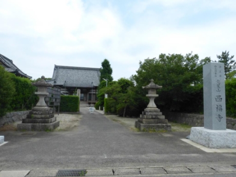 画像48